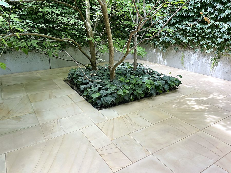 Sandstone paving laid around a tree in a walled courtyard