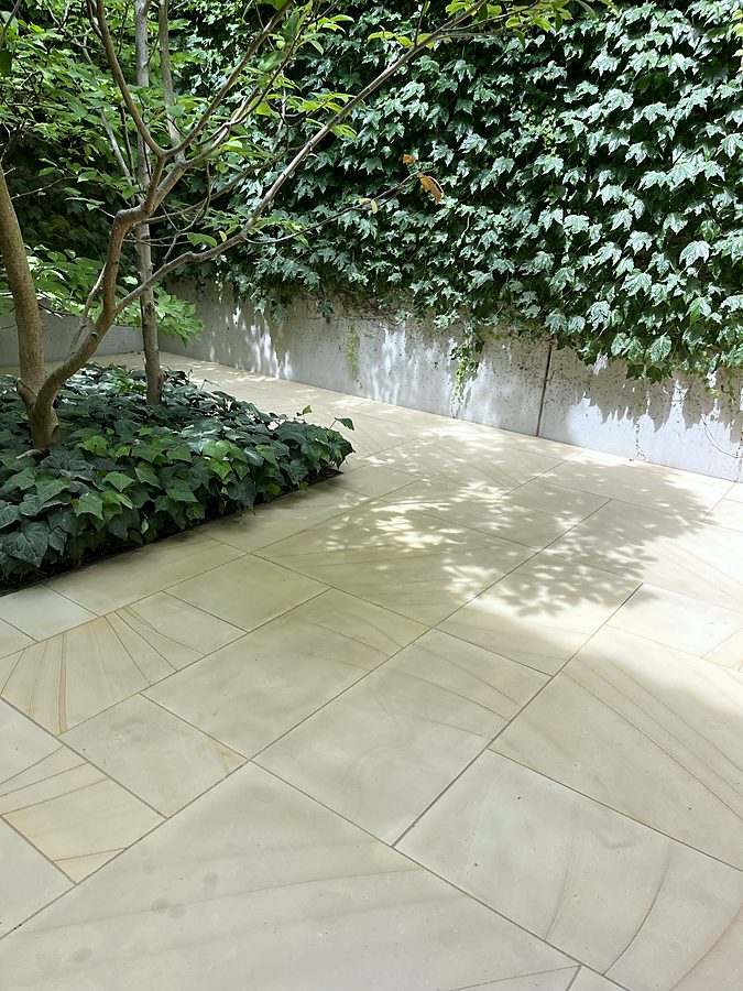Sandstone paving and ivy wall in a shaded courtyard
